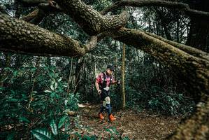 BIB: 
                            <button type="button" onclick="openModal(25705444)" class="btn btn-primary btn-sm float-right btn-popup" data-toggle="modal" data-target=".modal-high-quality">
                        <i class="fas fa-shopping-cart"></i> Add to Cart
                    </button>
                                            <button type="button" onclick="isThisMe(25705444, true)" class="btn btn-success btn-sm float-right btn-popup btn-isme hidden" data-toggle="tooltip" data-placement="bottom" title="นี่คือรูปของคุณใช่ไหม คลิกที่นี่เพื่อเอาเข้าอัลบั้ม">
                        <i class="fas fa-plus"></i> Add to album
                    </button>
                    <button type="button" onclick="isThisMe(25705444, false)" class="btn btn-warning btn-sm float-right btn-popup btn-isnotme hidden">
                        <i class="fas fa-ban"></i> Remove from album
                    </button>